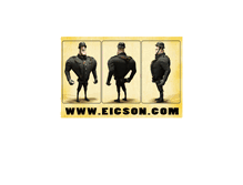 Tablet Screenshot of eicson.com
